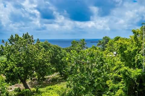 Ackee Tree Sea View Villa Порт-Антонио Экстерьер фото