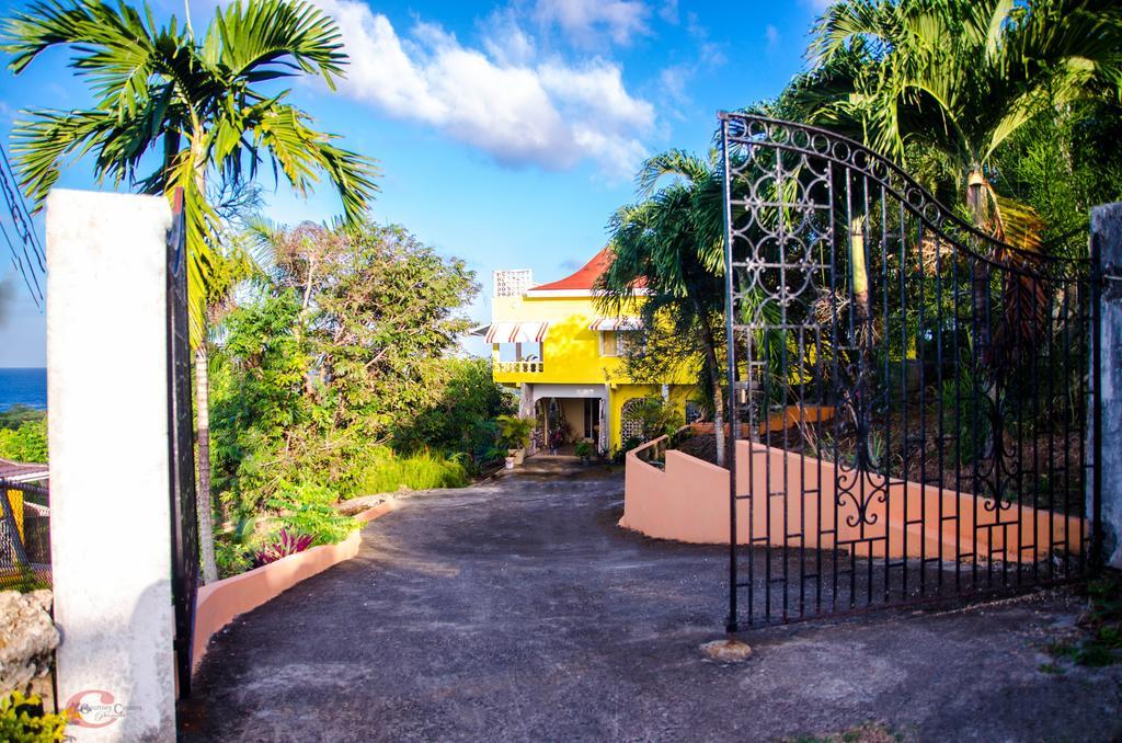 Ackee Tree Sea View Villa Порт-Антонио Экстерьер фото